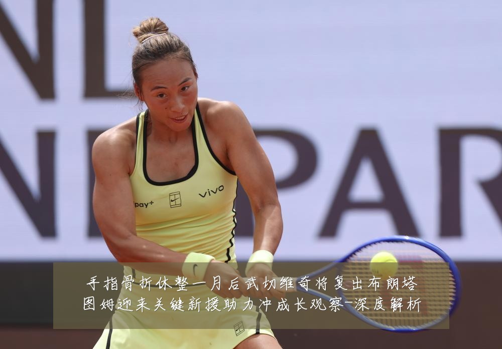 手指骨折休整一月后武切维奇将复出布朗塔图姆迎来关键新援助力冲成长观察-深度解析